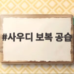 사우디 보복 공습 악순환 속 후티의 선택은 어디로 사우디 보복 공습