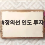 정의선 인도 투자