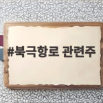 북극항로 관련주 급등 조선 해운 물류 투자 기회를 잡는 방법 북극항로 관련주