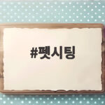 펫시팅