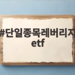 단일종목레버리지 ETF 도입 논란 누가 만들었을까 총정리 단일종목레버리지 etf