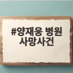 양재웅 병원 사망사건 21분 CCTV 공백과 늑장 수사의 전말 양재웅 병원 사망사건