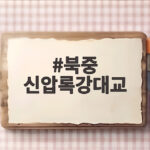 북중 신압록강대교 15일 개통 완공 12년 만의 변화 북중 신압록강대교