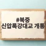 북중 신압록강대교 개통 임박 12년 만에 열리나 북중 신압록강대교 개통