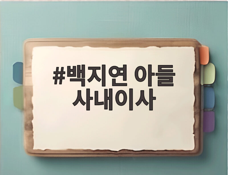 백지연 아들 사내이사로 포르마레 설립 현대가 사위 독자 행보가 궁금하다 1 백지연 아들 사내이사