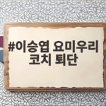 이승엽 요미우리 코치 퇴단 1년 만에 작별한 이유와 앞으로 계획 이승엽 요미우리 코치 퇴단