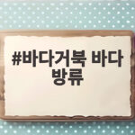 바다거북 바다 방류
