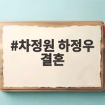 차정원 하정우 결혼