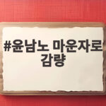 윤남노 마운자로 감량