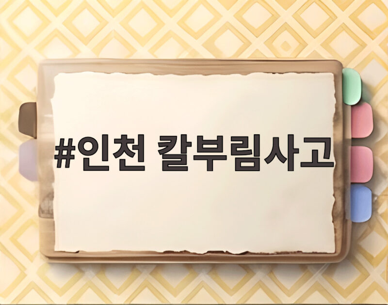 인천 칼부림사고로 본 전자발찌 관리의 빈틈과 개선 방향 1 인천 칼부림사고