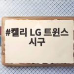 켈리 LG 트윈스 시구 2년 만에 돌아온 잠실의 추억 켈리 LG 트윈스 시구
