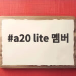a20 lite 멤버