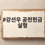 강선우 공천헌금 실형
