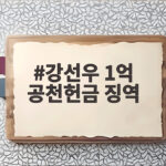 강선우 1억 공천헌금 징역