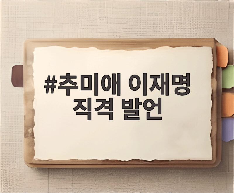 추미애 이재명 직격 발언 여권 내부 갈등 어디까지 1 추미애 이재명 직격 발언
