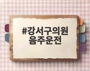 강서구의원 음주운전