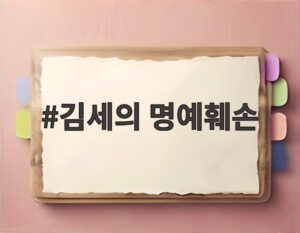 김세의 명예훼손