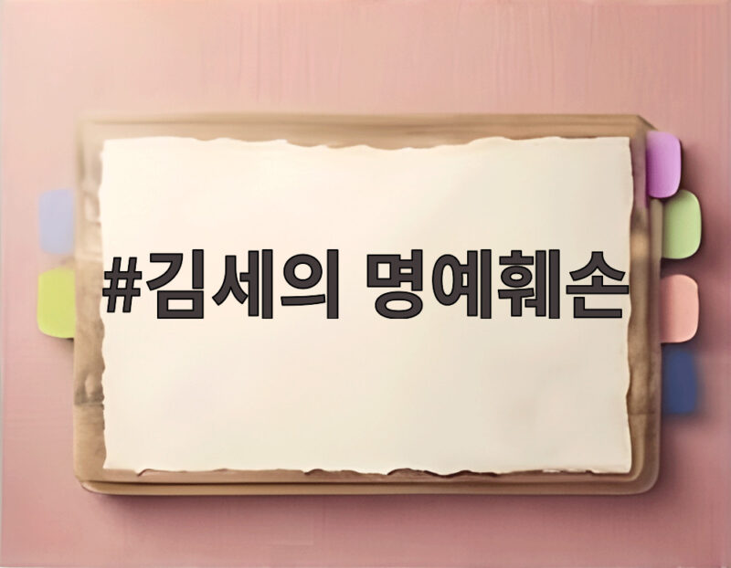 김세의 명예훼손 사건 보석 청구와 재판 전망 알아보기 1 김세의 명예훼손