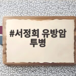 서정희 유방암 투병 15차례 혈뇨 고백 완치 눈앞 상태 서정희 유방암 투병