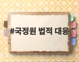 국정원 법적 대응