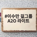이수만 걸그룹 A2O 라이트