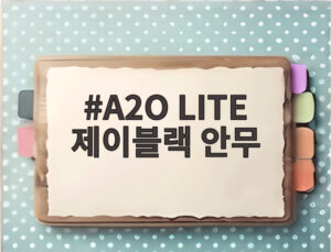 A2O LITE 제이블랙 안무