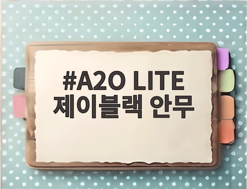 A2O LITE 제이블랙 안무