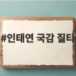 인태연 국감 질타