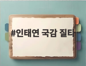 인태연 국감 질타