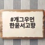 개그우먼 한윤서고향 청도에서 흘린 눈물의 사연 개그우먼 한윤서고향