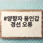 양향자 용인갑 경선 오류 재투표 불참 전면 재선거 요구 논란 정리 양향자 용인갑 경선 오류