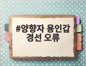 양향자 용인갑 경선 오류