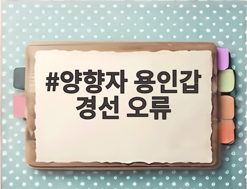 양향자 용인갑 경선 오류
