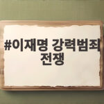 이재명 강력범죄 전쟁 선포 범정부 대응책 핵심 정리 이재명 강력범죄 전쟁