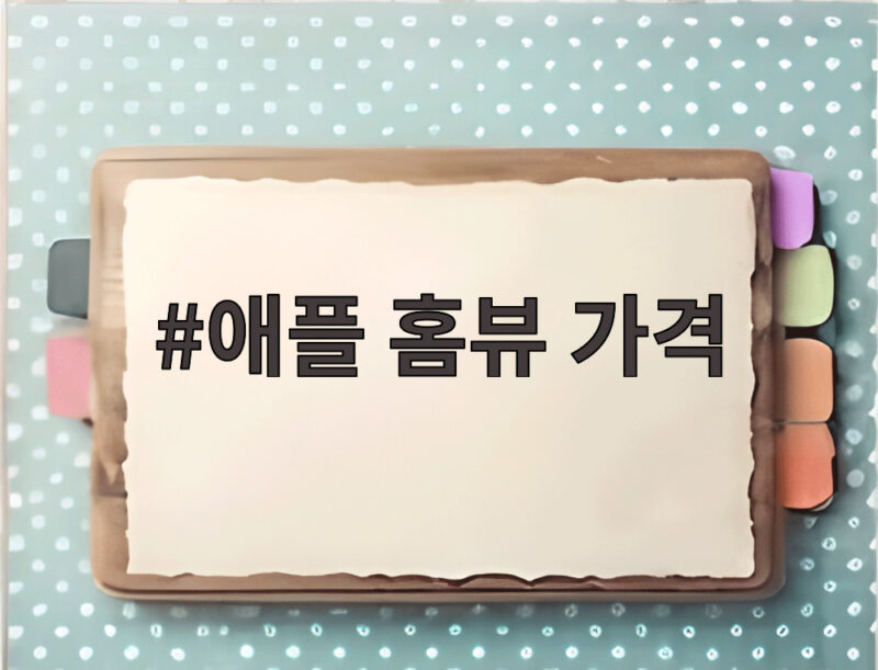 애플 홈뷰 가격 299달러인데 한국 출시는 언제일까 1 애플 홈뷰 가격