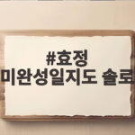 효정 미완성일지도 솔로