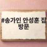 송가인 안성훈 집 방문 15년 우정 현실 남매 케미가 터졌다 송가인 안성훈 집 방문