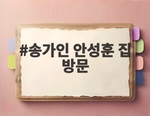 송가인 안성훈 집 방문