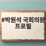 박원석 국회의원 프로필, 정치 평론가로 활약 중인 이유 박원석 국회의원 프로필