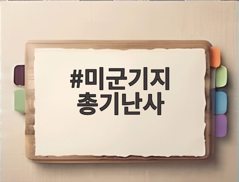 미군기지 총기난사범 총살형 생중계 여론과 트럼프 철회 결정 1 미군기지 총기난사