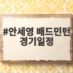 안세영 배드민턴 경기일정 2026 아시안게임 결승 시각 총정리 안세영 배드민턴 경기일정