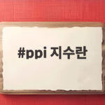 ppi 지수란