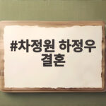 차정원 하정우 결혼