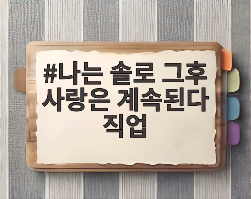 나는 솔로 그후 사랑은 계속된다 직업