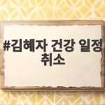 김혜자 건강 일정 취소 건강이상설 85세 배우 몸 상태는 김혜자 건강 일정 취소