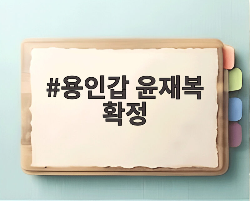 용인갑 윤재복 확정 재경선 없이 정리된 배경과 향후 일정 1 용인갑 윤재복 확정