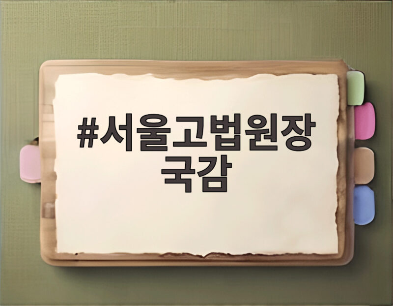 서울고법원장 국감에서 나온 대법관 공백과 선관위 영장 이야기 1 서울고법원장 국감