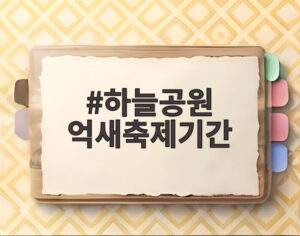 하늘공원 억새축제기간