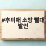추미애 소방 빨대 발언 논란 부천 화재 현장 방문 추미애 소방 빨대 발언