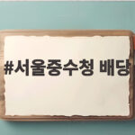서울중수청 배당으로 다시 불붙은 한동훈 딸 스펙 의혹 수사 서울중수청 배당